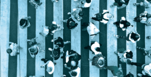 What are Inward & Outward Mindsets? - Ryan Gottfredson Library